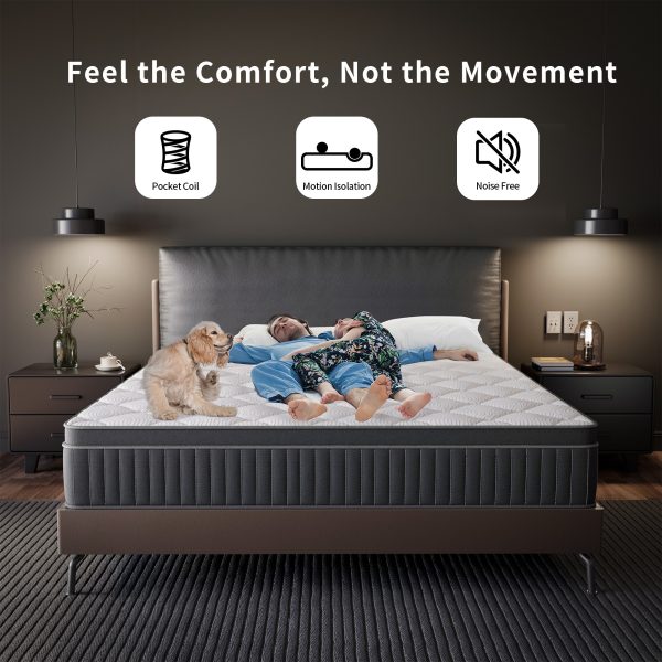 Babo Care 12 inch Queen Size Hybrid Plush Mattress,Individually Wrapped Pocket Coils Innerspring Mattress, Memory Foam Mattress In a Box,CertiPUR-US Certified