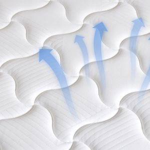 画板 6